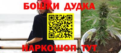 сатива Чебоксары