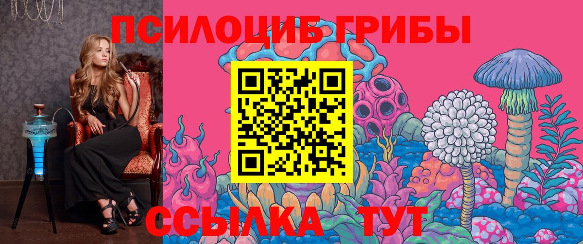 Ногинск  Галлюциногенные грибы Cubensis  Вход с VPN  Галлюциногенные грибы мухоморы 