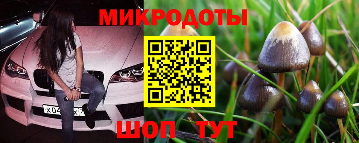 Галлюциногенные грибы Magic Shrooms Ногинск